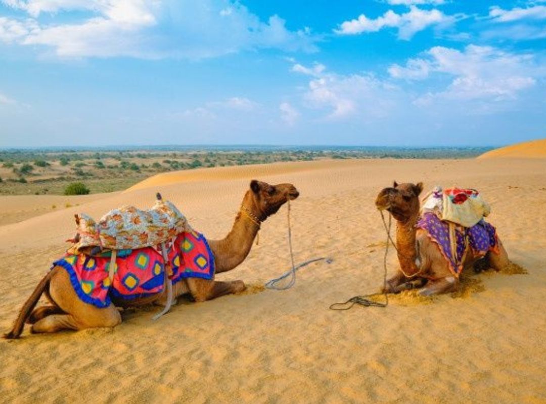 Jaisalmer's best time to visit