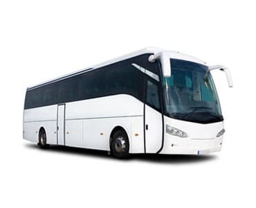 Luxury Coaches